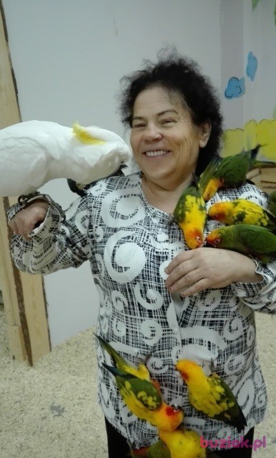fajnarenata, Kobieta, 72, Gorzów Wielkopolski, Polska, Zdjęcie: 2