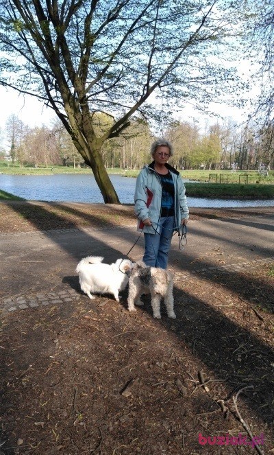 Halina, Female, 64, Brzeg Dolny, Polska, Photo: 3