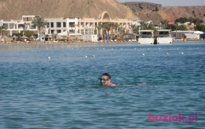 Michael, Male, 49, Polska: 1