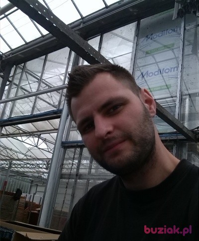 Krzysiek-Blue, Mężczyzna, 41, Holandia, Zdjęcie: 2