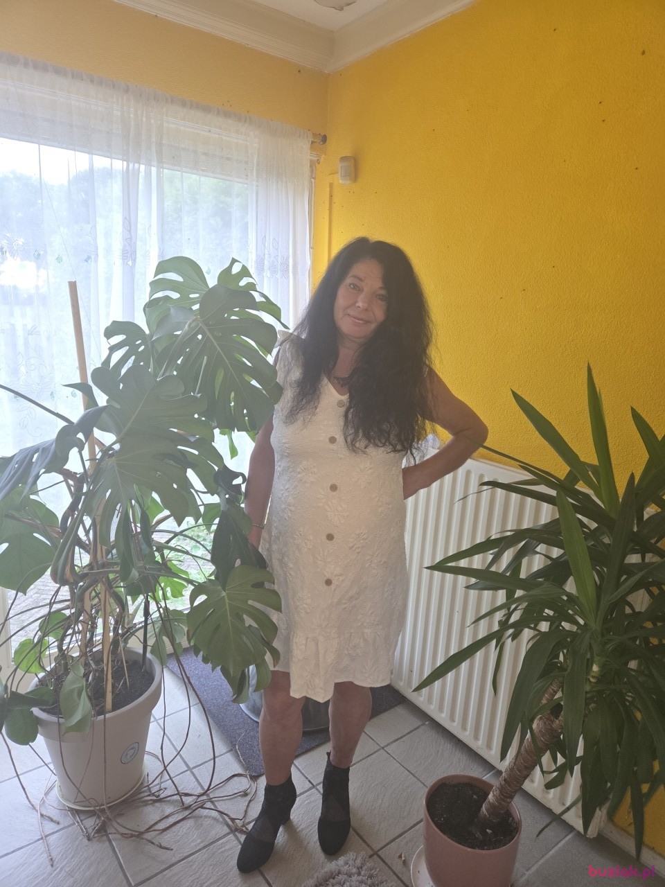 LUCYNA, Kobieta, 54, 's-Hertogenbosch, Holandia, Zdjęcie: 2