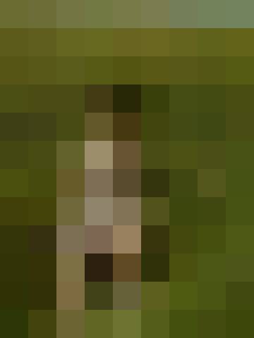 Renata, Kobieta, 53, Polska, Zdjęcie: 4