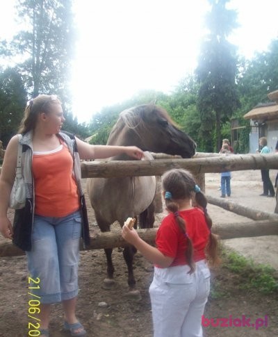 Agnieszka, Kobieta, 46, Wrocław, Polska, Zdjęcie: 4