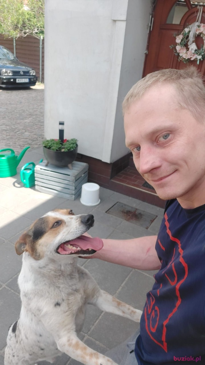 Krzysztof, Mężczyzna, 32, Wschowa, Polska, Zdjęcie: 3