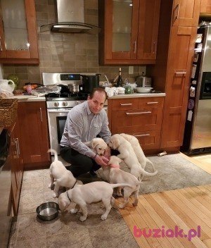 Jacek, Male, 53, New York City, USA, Photo: 6