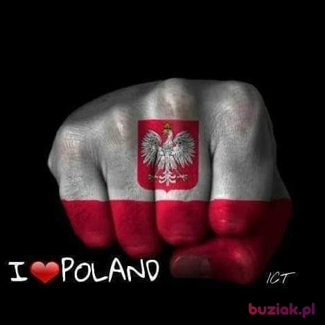 Daro, Mężczyzna, 43, Łańcut, Polska, Zdjęcie: 9