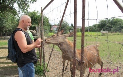 Jerzy, Male, 60, Gdańsk, Polska, Photo: 3