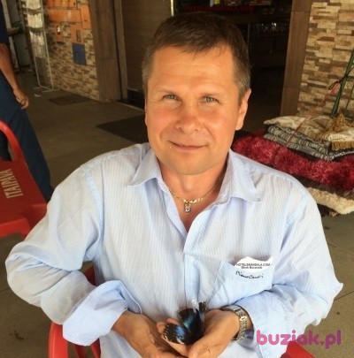 Mirek, Mężczyzna, 53, Szprotawa, Polska, Zdjęcie: 1
