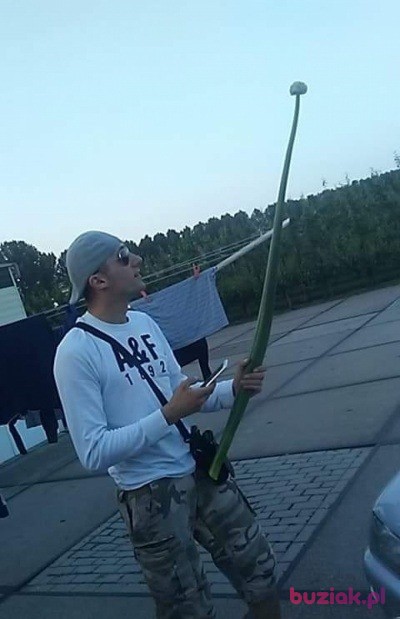 Wojtek, Mężczyzna, 39, Holandia, Zdjęcie: 3