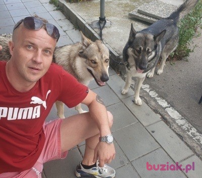 Marcin, Male, 39, Neuburg an der Donau Upper Bavaria Bavaria, Niemcy, Photo: 3