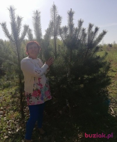 urszula, Female, 53, Radom, Polska: 1