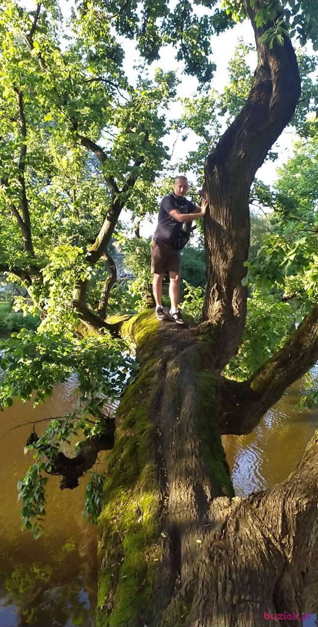 Jakub, Male, 27, Szydłowiec, Polska, Photo: 1