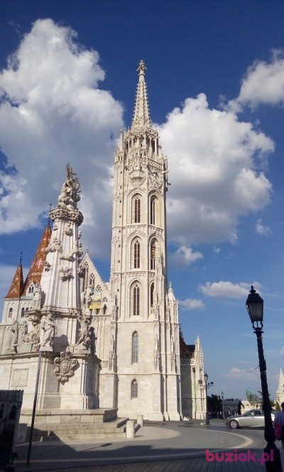Damian, Male, 50, Strzyżów, Polska, Photo: 3