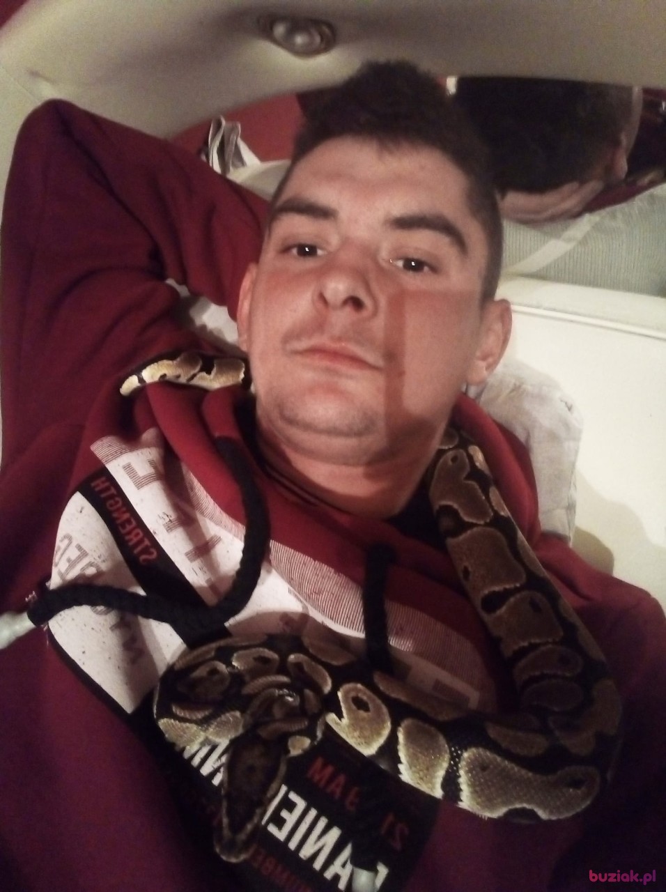 Wiesław, Male, 29, Ostrów Mazowiecka, Polska, Photo: 1