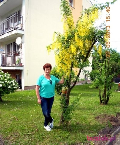 patrycja, Female, 70, Racibórz, Polska, Photo: 1