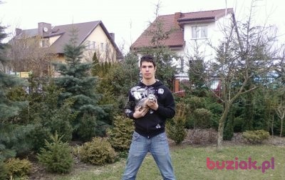 Krzysztof, Mężczyzna, 35, Poznań, Polska: 1