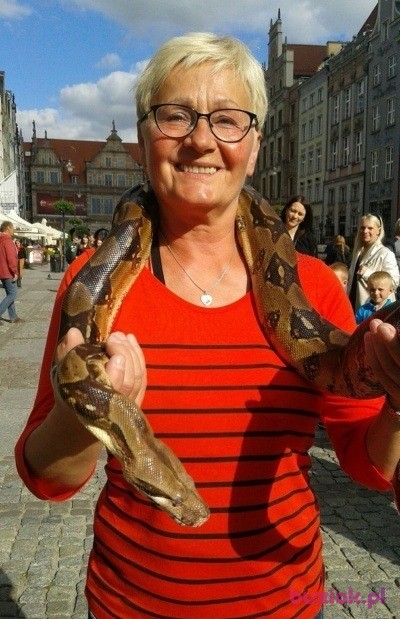 Hania, Kobieta, 68, Bydgoszcz, Polska, Zdjęcie: 2