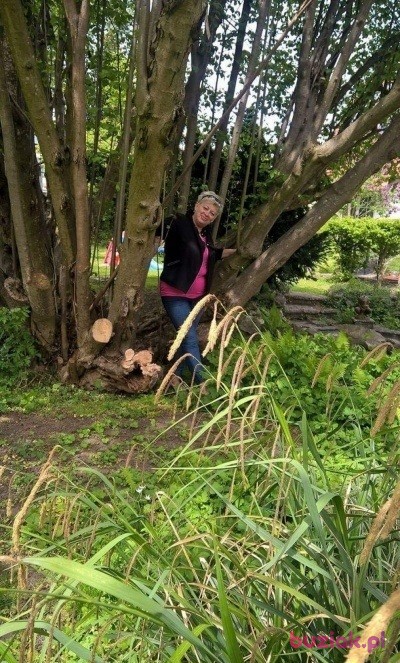 Elzbieta, Kobieta, 65, Bystrzyca Kłodzka, Polska, Zdjęcie: 4