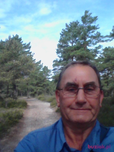 Bogdan, Mężczyzna, 68, Wrocław, Polska: 1