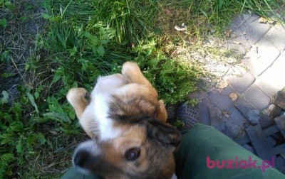 Tomek, Mężczyzna, 43, Żyrardów, Polska, Zdjęcie: 2