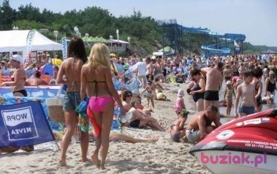 Nicola, Kobieta, 33, Katowice, Polska, Zdjęcie: 2