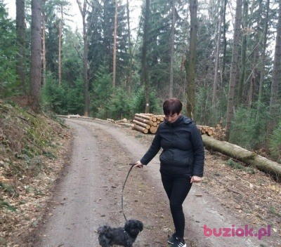 Anna, Kobieta, 51, Polska, Zdjęcie: 6