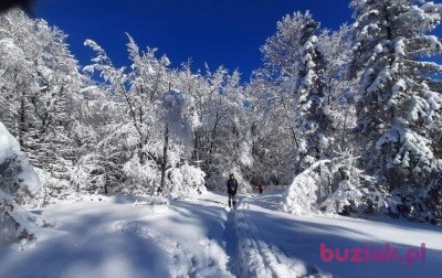 Majka, Female, 59, Olkusz, Polska, Photo: 5