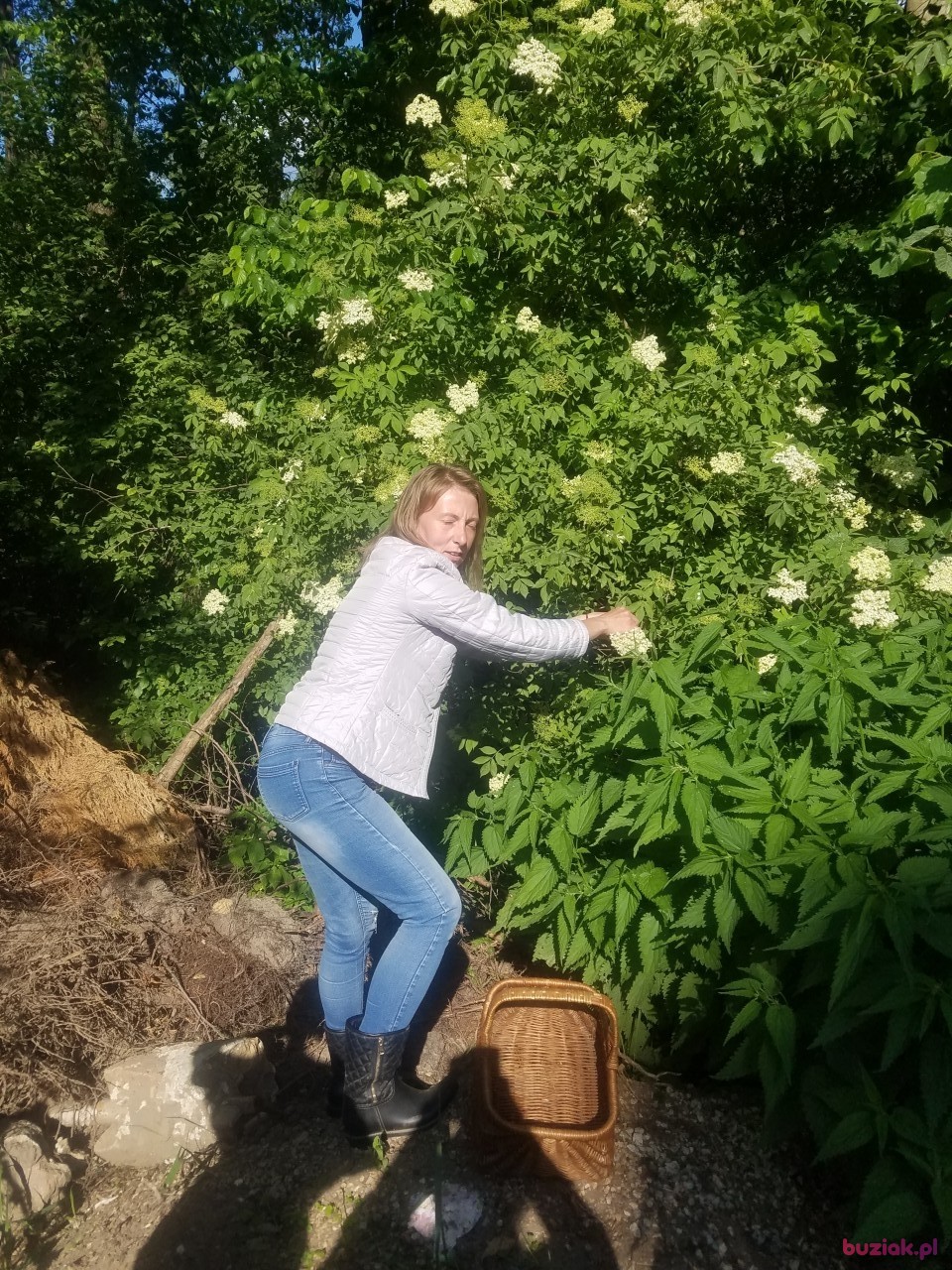 sylwia, Female, 43, Bytom, Polska, Photo: 3