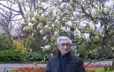torus39, Male, 85, Wodzisław Śląski, Polska, Photo: 3