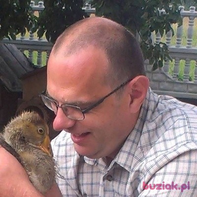 Andrzej, Mężczyzna, 48, Osiek, Polska: 1
