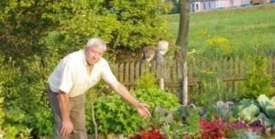 RYSZARD, Male, 85, Włocławek, Polska, Photo: 7