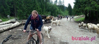 Małgorzata, Kobieta, 27, Piotrków Trybunalski, Polska, Zdjęcie: 3