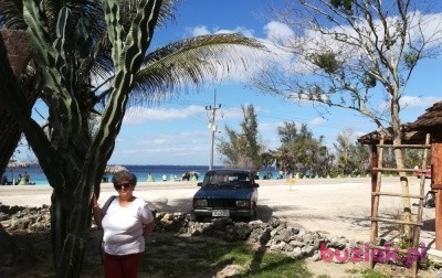 Romualda, Female, 74, Sosnowiec, Polska, Photo: 1