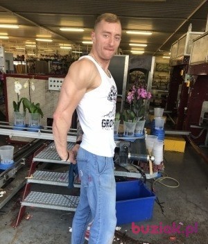 Wojtek, Mężczyzna, 36, Rotterdam South Holland Province, Holandia, Zdjęcie: 5