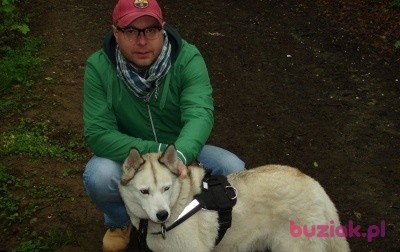tomek, Male, 52, Legnica, Polska: 1