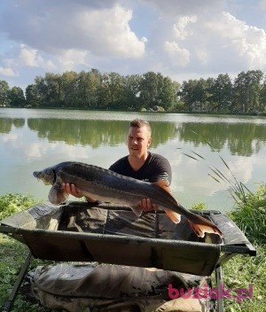 Adam, Mężczyzna, 38, Błonie, Polska, Zdjęcie: 2