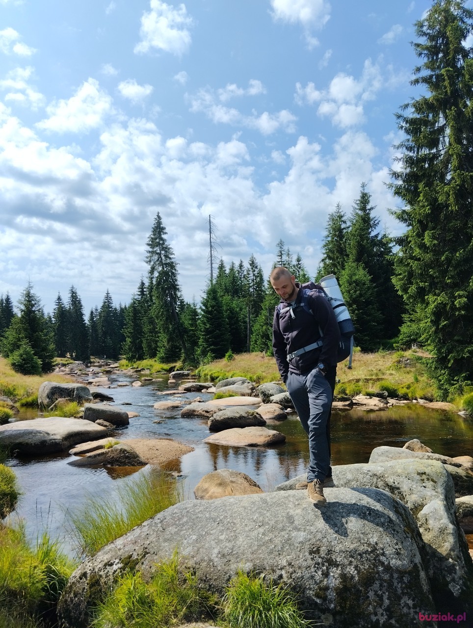 Kamon, Mężczyzna, 31, Poznań, Polska: 1