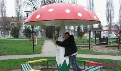 artur26, Male, 0, Szczecin, Polska: 1