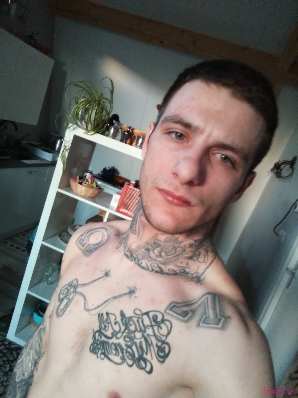 Bart, Mężczyzna, 28, Rotterdam South Holland Province, Holandia: 1
