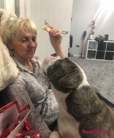 Elzbieta, Female, 61, Szczecin, Polska, Photo: 5