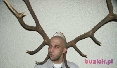 crazykrak, Mężczyzna, 45, Bielsko-Biała, Polska, Zdjęcie: 3