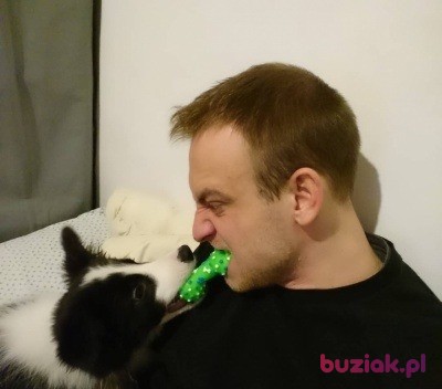 Tomasz, Mężczyzna, 32, Wrocław, Polska, Zdjęcie: 2
