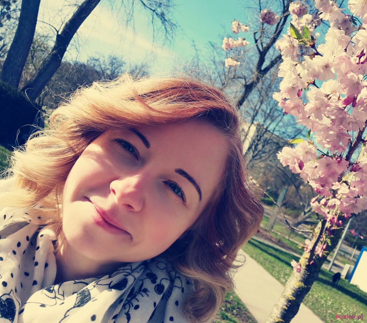 Isia, Kobieta, 41, Gdynia, Polska, Zdjęcie: 5