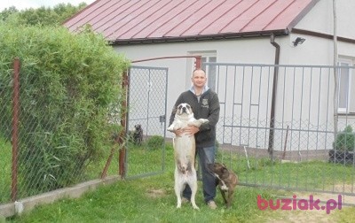 wojtek, Male, 49, Warszawa, Polska, Photo: 3