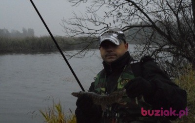 Leszek, Mężczyzna, 39, Elbląg, Polska: 1