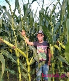 Adam, Male, 32, Żory, Polska, Photo: 4