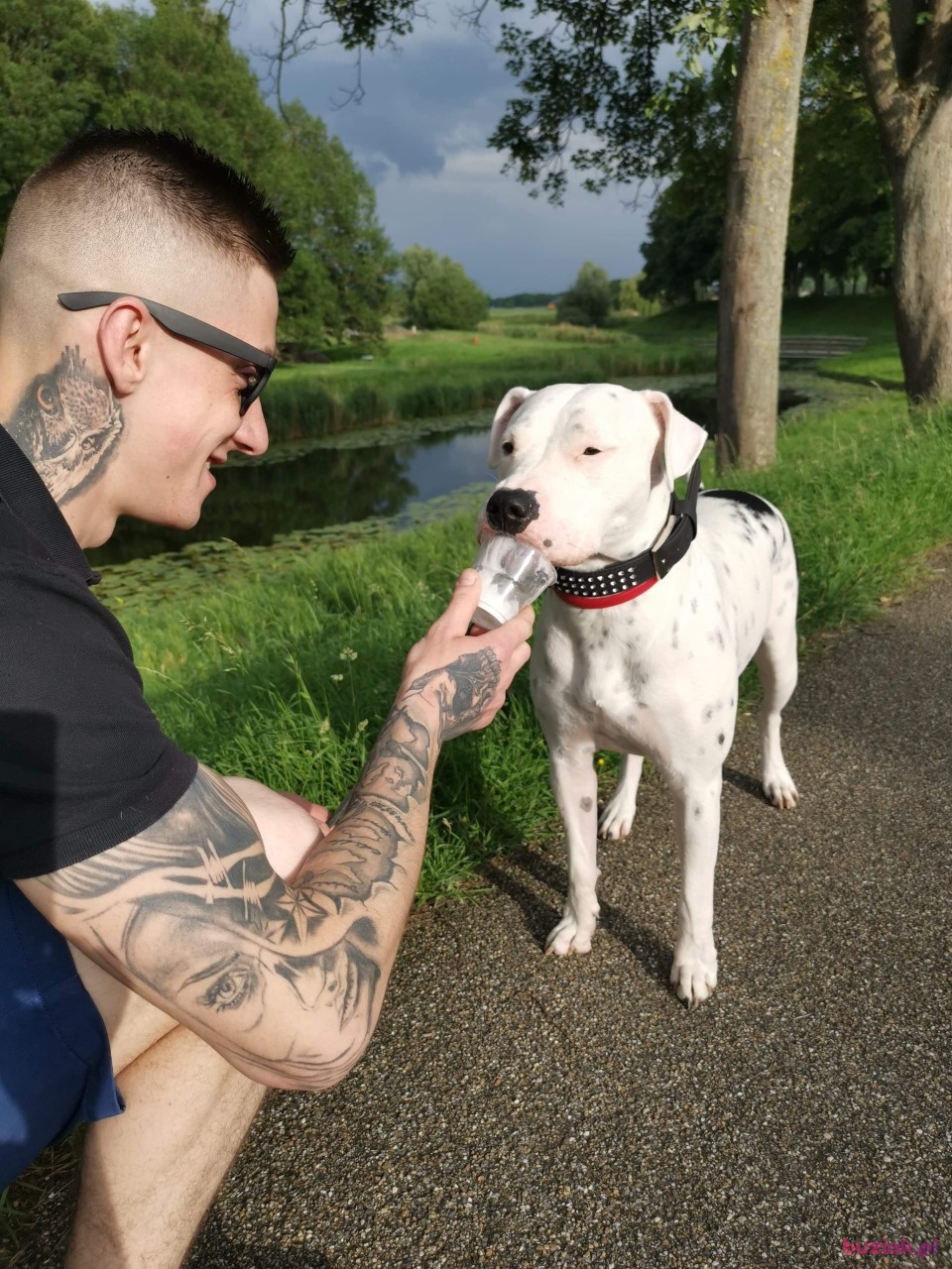 Piotr, Male, 28, Breda, Holandia: 1
