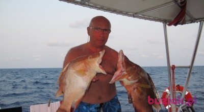 krong2, Mężczyzna, 60, Warszawa, Polska: 1