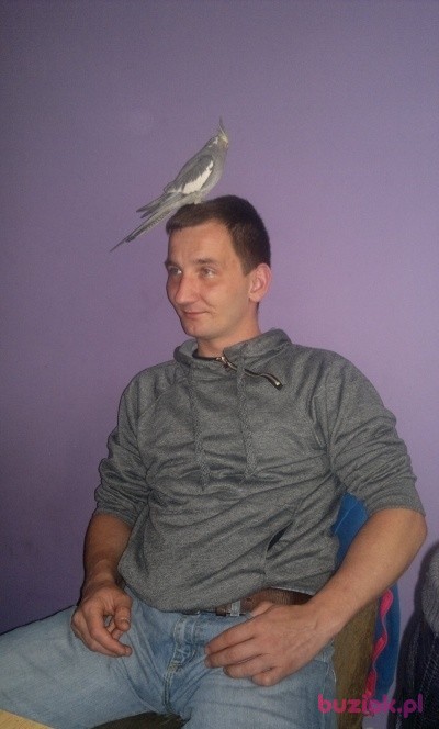 lukasz, Male, 40, Mysłowice, Polska: 1