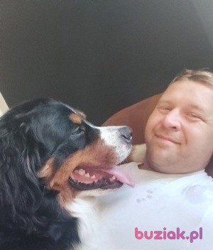 Grzegorz , Mężczyzna, 41, Sutton in Ashfield, Wielka Brytania, Zdjęcie: 4